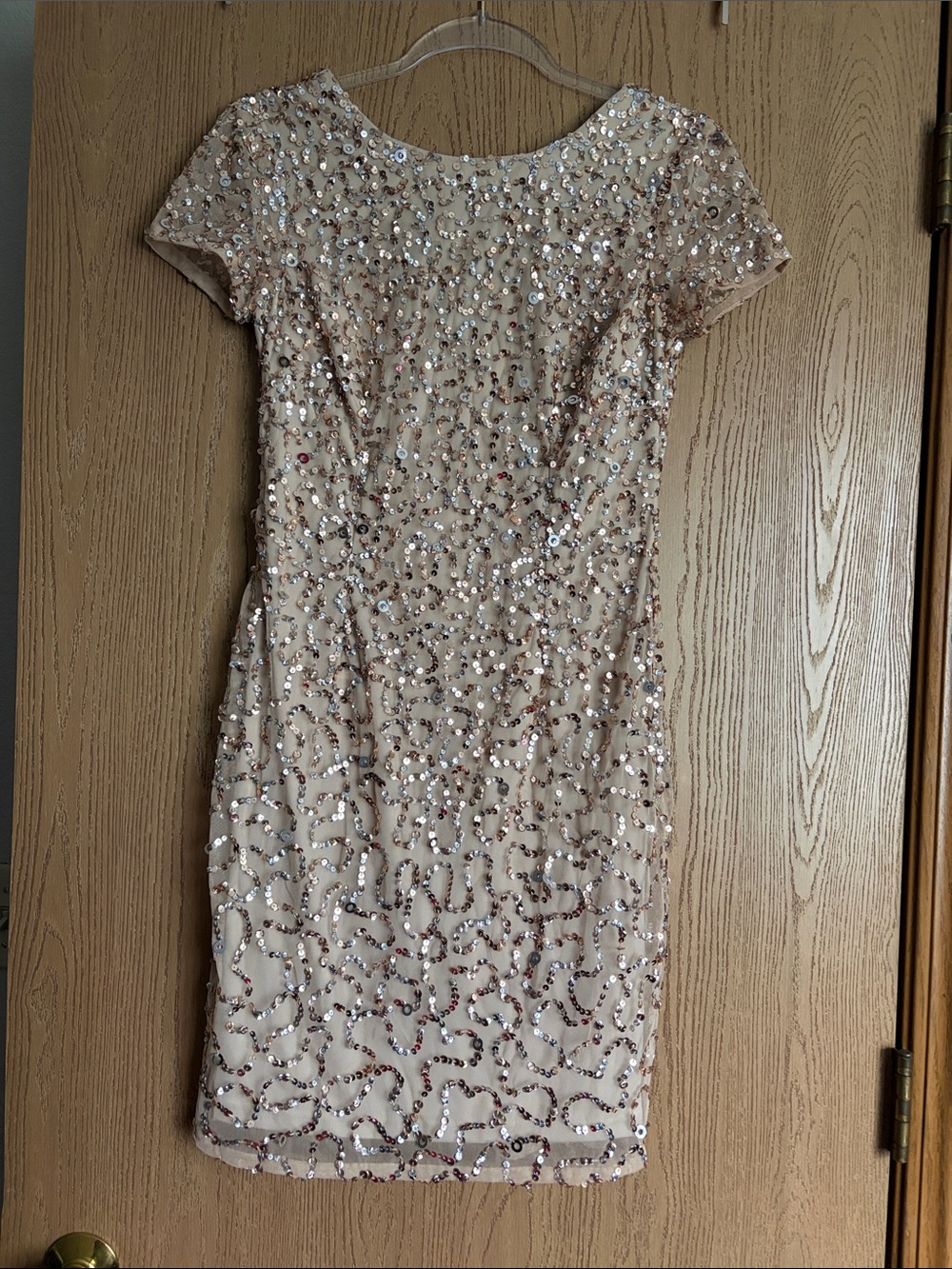 Adrianna Papell Nude Sequin Short-Sleeve Sheath Dress